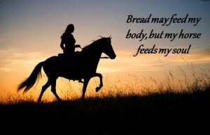 Horse Quotes by JBKitsune