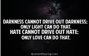 Darkness cannot drive out darkness; only light can do that. Hate ...