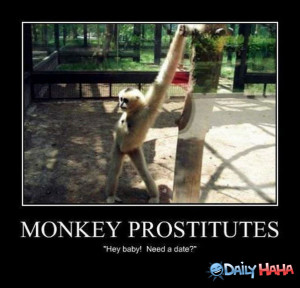 ... .gotsmile.net/images/2010/10/07/monkey-prostitutes.jpg_1286430558.jpg