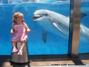 Funny Dolphin Scares Child Picture