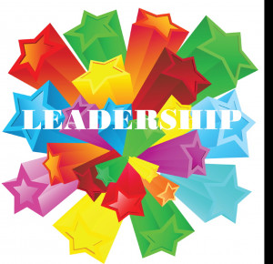 Nursing Leadership - Executive Competencies