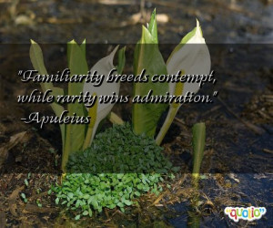 Familiarity breeds contempt, while rarity wins admiration. (quote)