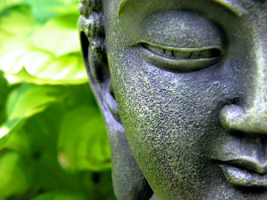 To study the Buddha Way is to study the self.