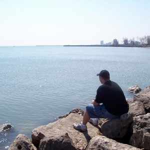 File Dustin Pedroiabatting Ogv