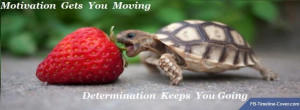 Messages/Sayings : Turtle And Strawberry Motivation Facebook Timeline ...