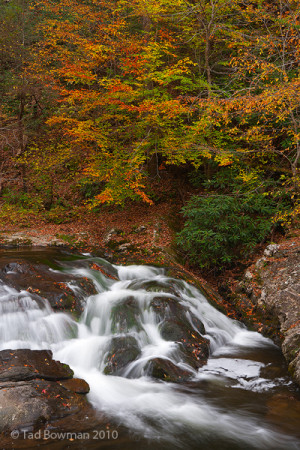 Smoky Mountains Waterfall...