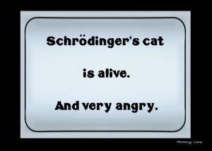 Schrodinger%27s%20cat%20is%20alive.png