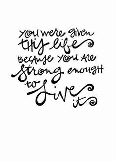 Quotes, Funny Relationship, Sayings Motivation Funny, Cancer Quotes ...