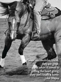 Horse quotes