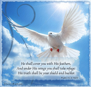 bird quote bird quotes bird quotes and sayings birds quotes quotations ...