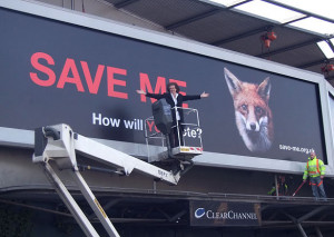 Vegan Quotes From Famous People