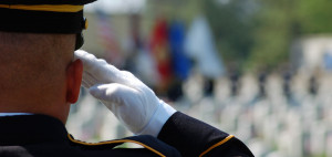 dc blossoms http rjtoursonline com wp content uploads bfi thumb dc ...