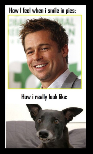 Funny photos funny Brad Pitt smile dog