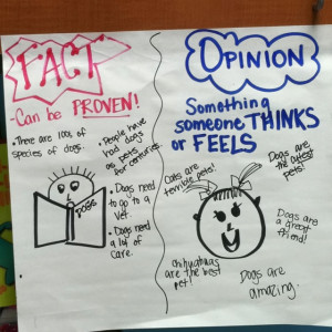 Fact and Opinion Anchor Chart: Facts And Opinion, Opinion Anchors ...