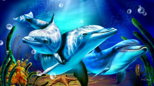 Dolphin Sunbeams HD Wallpaper #5879