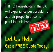 Sentinel Pest Control - Free Quotes Provided