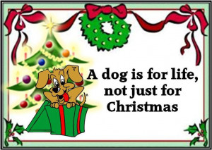 Dog is for life not just for Christmas