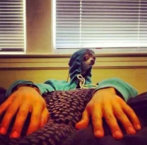 Pictures taken at the right moment (14 Photos)