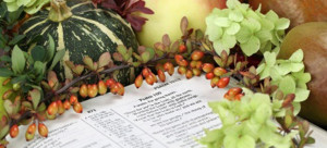 ... Instructions About Food from Genesis to Revelation | Food in the Bible