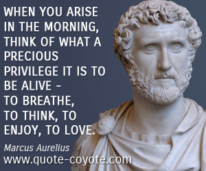 Marcus Aurelius Quotes When You Arise In The Morning Marcus aurelius ...