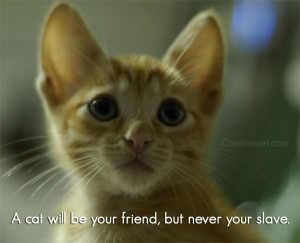 Cats Quote: A cat will be your friend, but...