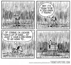 Funny photos funny Snoopy comic rain