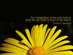 Imagination Quote s