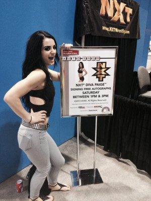 ... wwe diva brie bella wwe diva a j lee hot wallpaper wwe diva trish