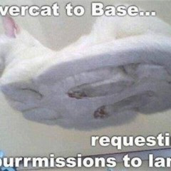 Hover Cat Meme