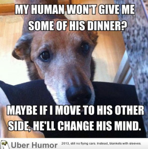 Funny Dog Quotes Very Synonym Videos