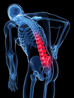 Low Back Pain: The Pains of a Busy Life
