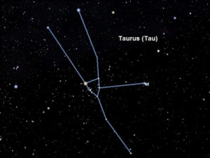 Taurus_Constellation.jpg