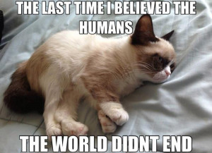 25 Hilarious Grumpy Cat memes for your Friday (25 Photos)