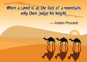 When a camel is at the foot of a mountain, only then judge his height.