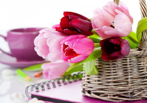 Beautiful Basket Tulip Flower Wallpaper