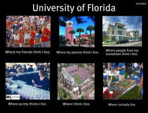 Life at the University of Florida – A Florida Gator Meme