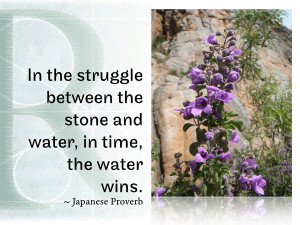 In the struggle between the stone and water, in time, the water wins ...