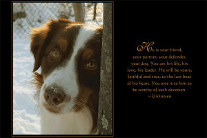 ... you enjoy one breed or all breeds of dogs, we are sure that you will
