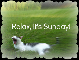 odin-cat-garden-yawn-quotes-relax-sunday