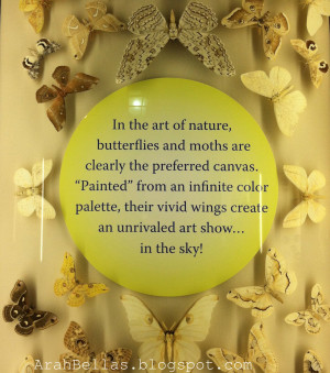 butterfly quote from the insectarium