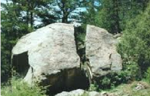 chemical weathering living organisms