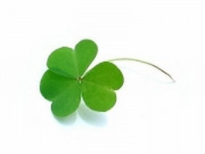 Irish Love Sayings in Gaelic