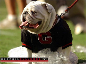 University of Georgia...bulldogs ️