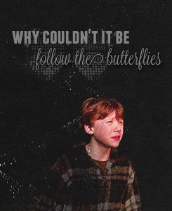 Favourite Quotes → Ron Weasley. Okay, I am a nerd, but I laughed SO ...