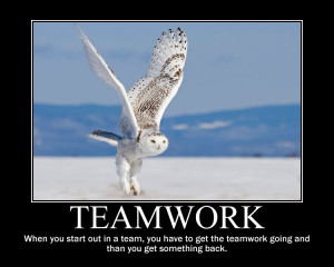 Funny Quotes About Teamwork In The Workplace
