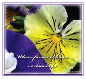 Quotes For Gardeners