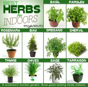 container herb garden ideas