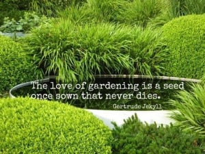 Gardening Quotes | The Enduring Gardener