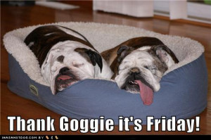 For real, thank the Dog-God (Goggie?) it's Friday!