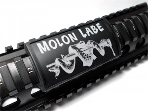 AR15/M4 Custom Picatinny Rail Cover – MOLON LABE, Rifle with Snake